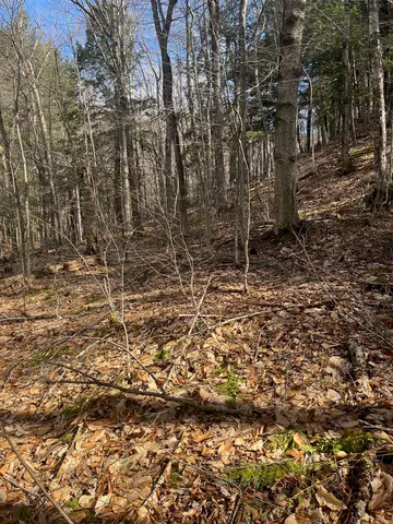 $35,000 | 2-47 East Ash Road, Plymouth, VT 05056