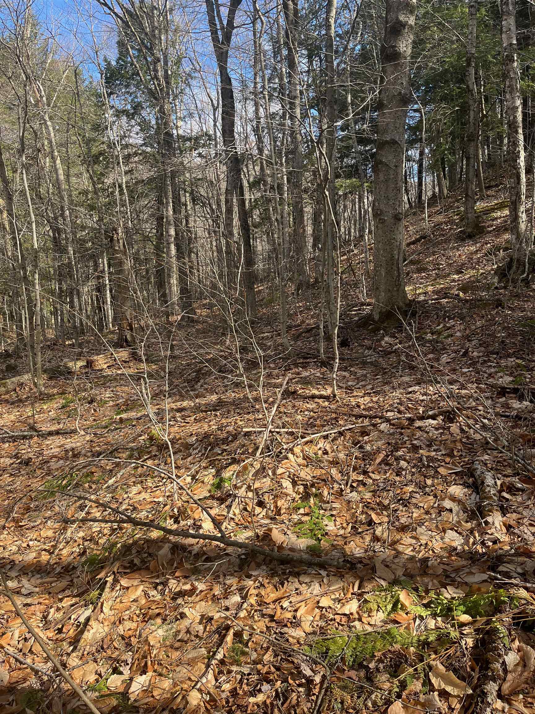 2-47 East Ash Road Plymouth, VT 05056 - Photo 18 of 19