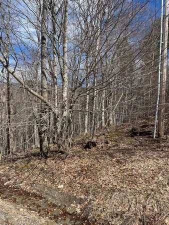 $27,500 | 2-47 East Ash Road, Plymouth, VT 05056