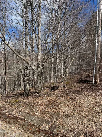 $35,000 | 2-47 East Ash Road, Plymouth, VT 05056