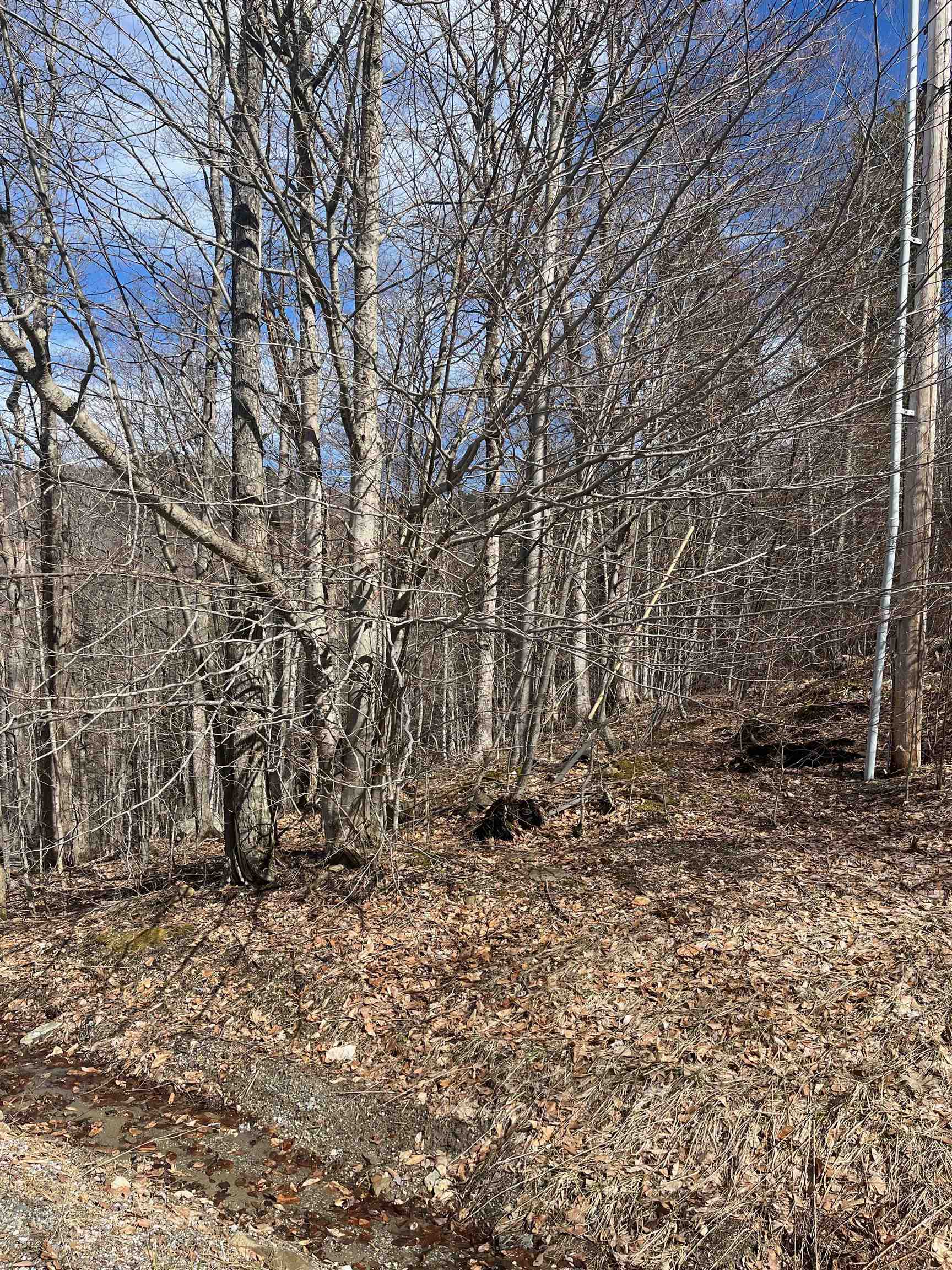 2-47 East Ash Road Plymouth, VT 05056 - Photo 19 of 19
