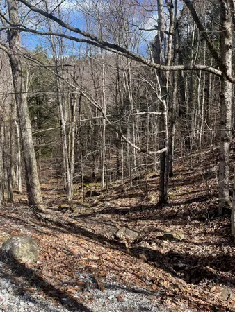 $27,500 | 2-47 East Ash Road, Plymouth, VT 05056