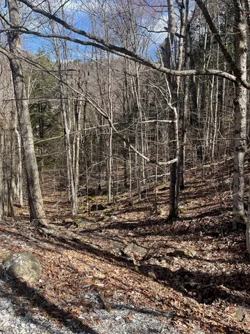 $35,000 | 2-47 East Ash Road, Plymouth, VT 05056