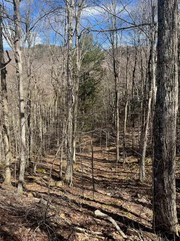 $35,000 | 2-47 East Ash Road, Plymouth, VT 05056