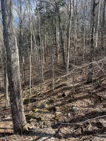 $27,500 | 2-47 East Ash Road, Plymouth, VT 05056