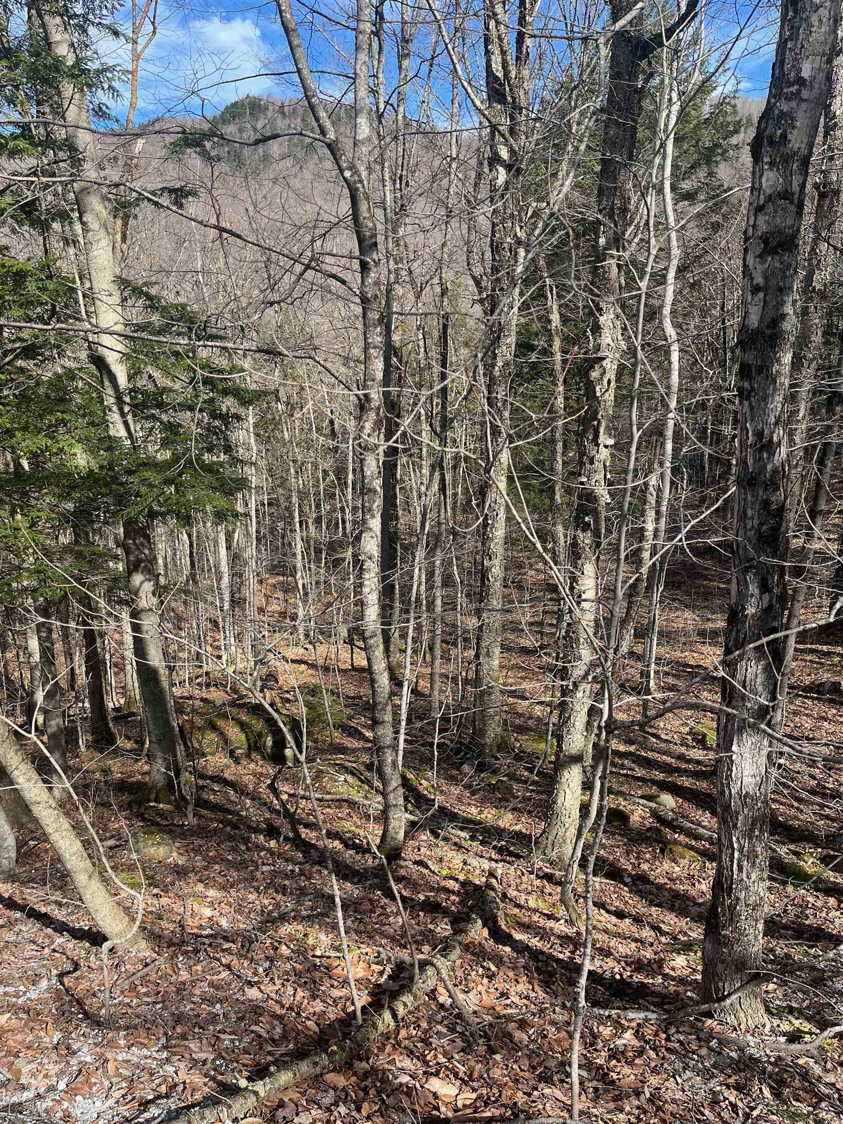 2-47 East Ash Road Plymouth, VT 05056 - Photo 6 of 19