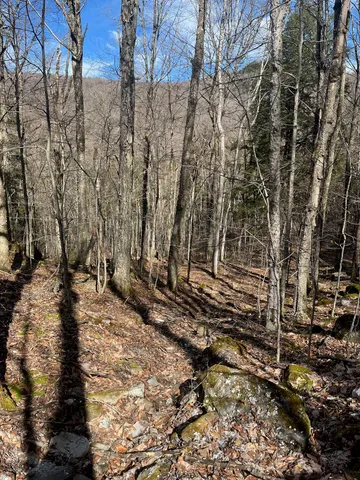 $35,000 | 2-47 East Ash Road, Plymouth, VT 05056