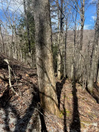 $27,500 | 2-47 East Ash Road, Plymouth, VT 05056