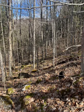 $27,500 | 2-47 East Ash Road, Plymouth, VT 05056