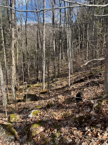 $35,000 | 2-47 East Ash Road, Plymouth, VT 05056