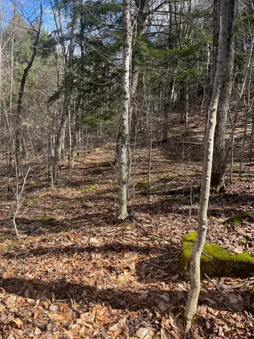 $35,000 | 2-47 East Ash Road, Plymouth, VT 05056