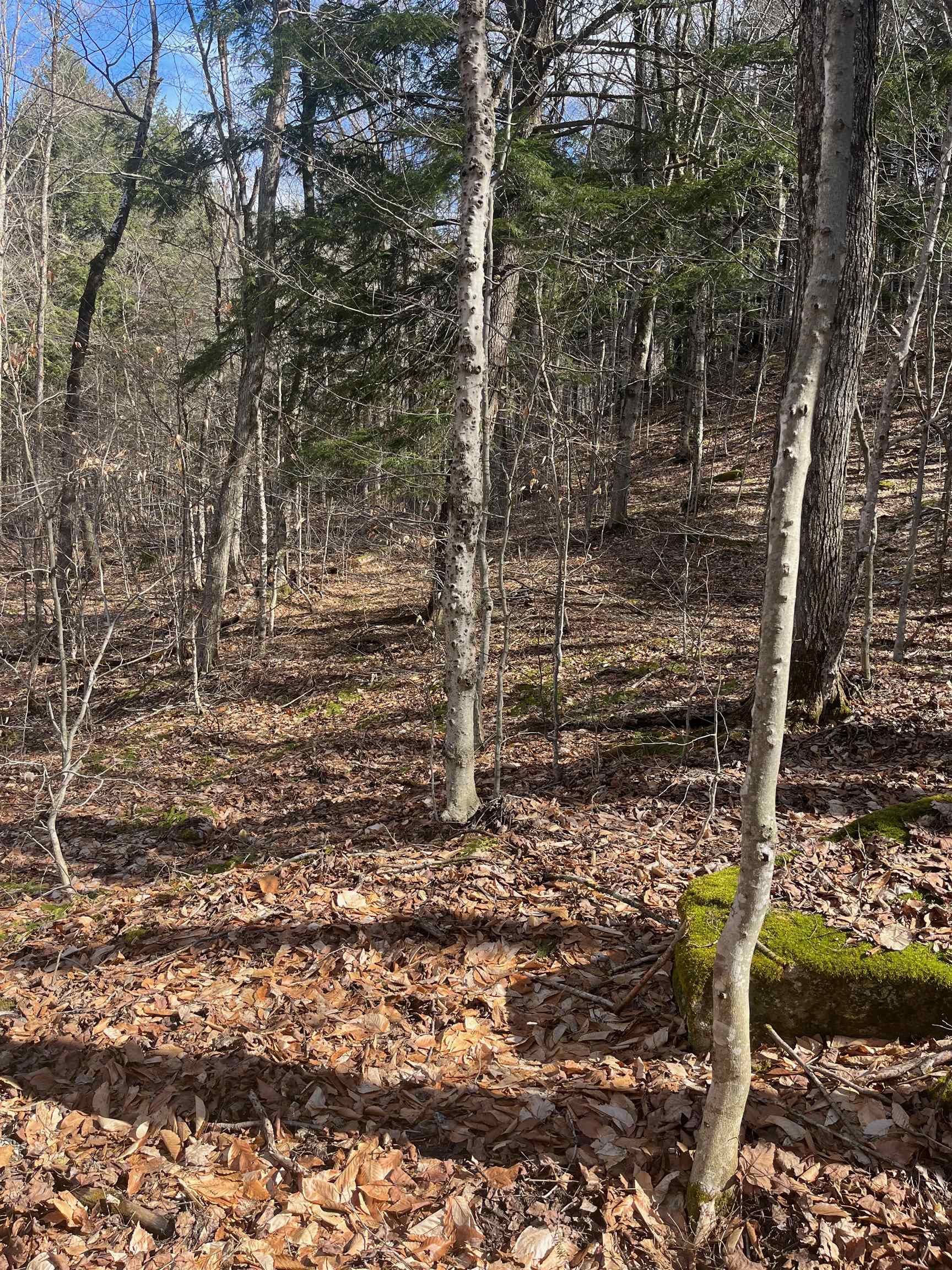 2-47 East Ash Road Plymouth, VT 05056 - Photo 10 of 19
