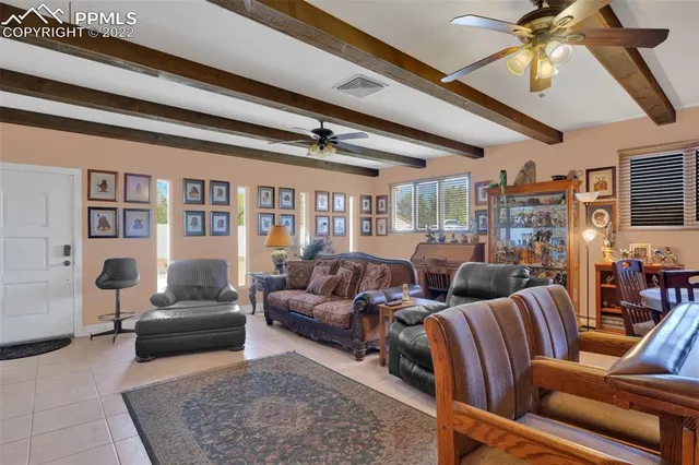 a living room with furniture ceiling fan and a rug