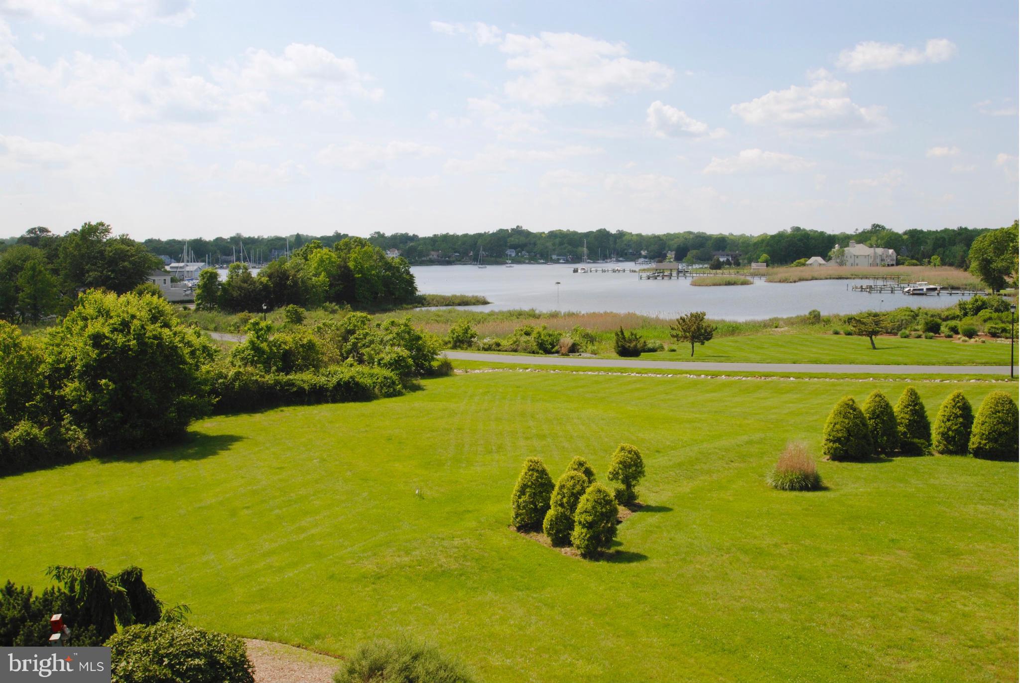 3410 Hidden River View Road Annapolis, MD 21403 - Photo 14 of 30 A nature lovers paradise