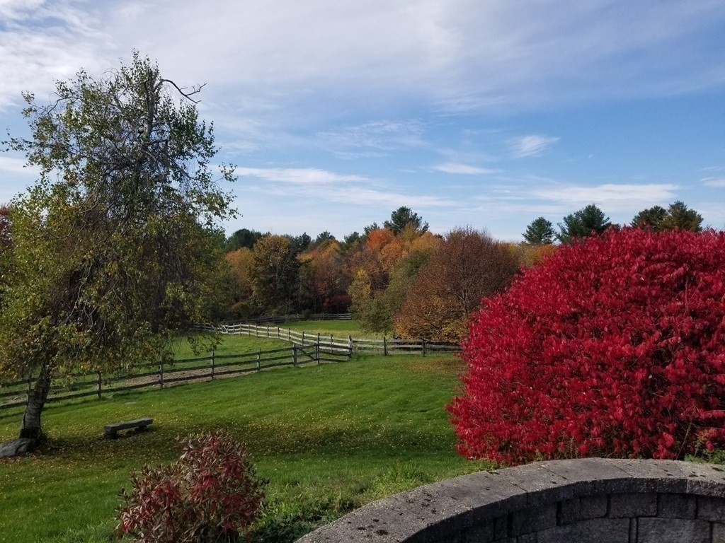 1125 N Road Hardwick, MA 01037 - Photo 12 of 41 a view of a park