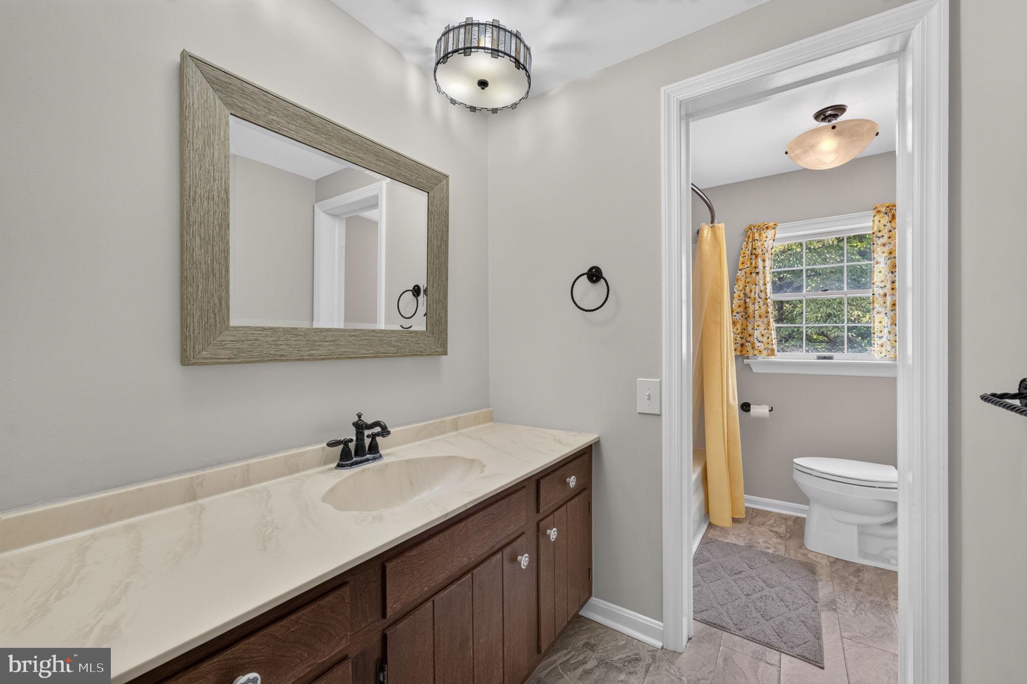 20210 Bent Willow Road Rohrersville, MD 21779 - Photo 32 of 98 Charming bathroom with modern touches.