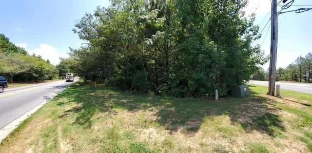 a view of backyard with green space
