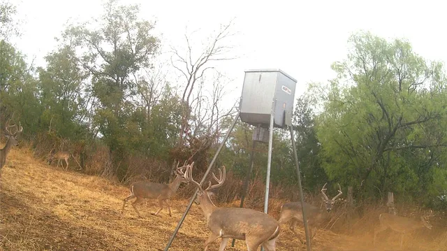 a close up of a sink