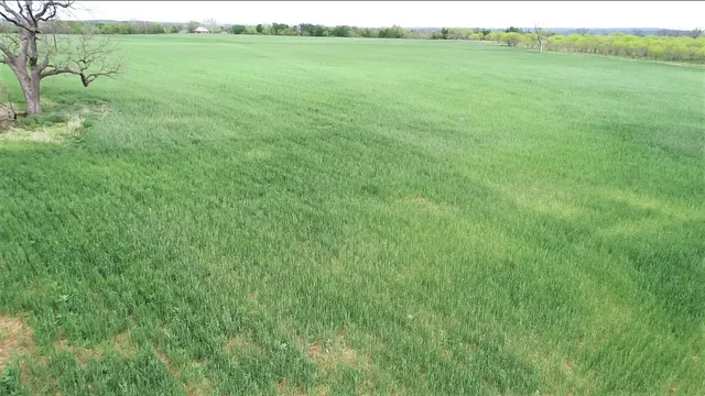 a view of an ocean from a yard
