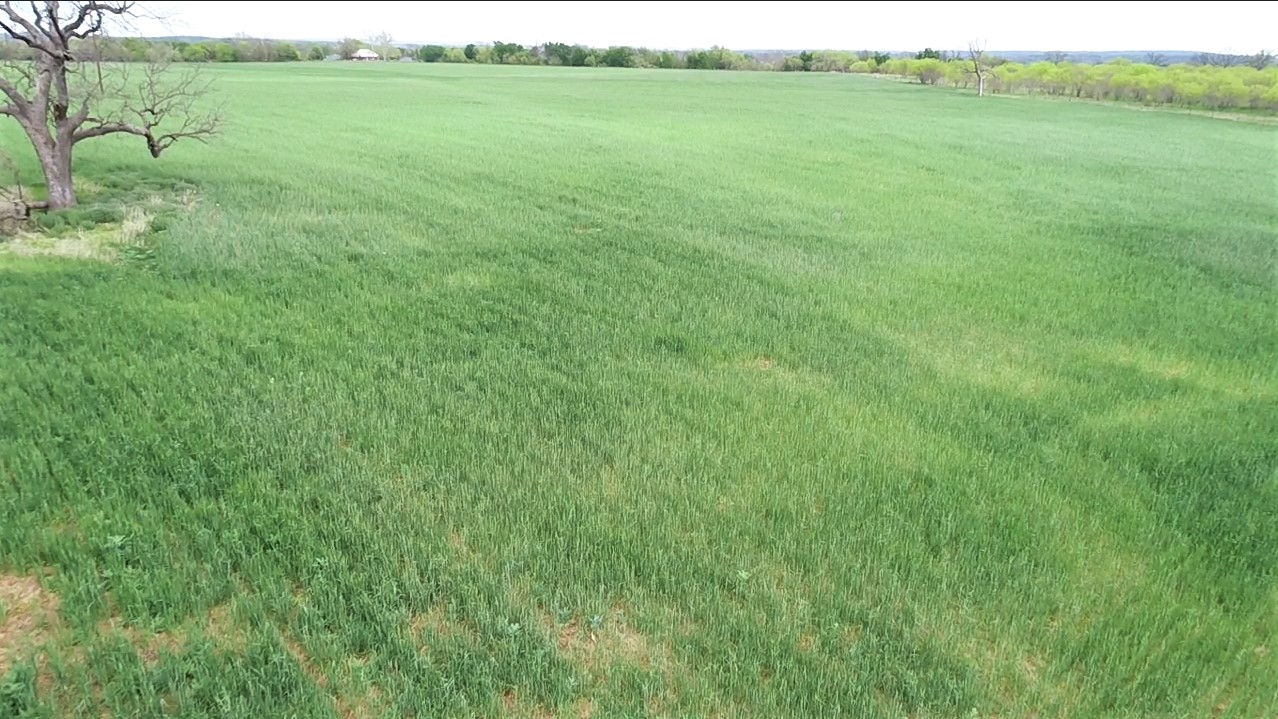 580 Rd Lampasas Tx 76550 Road Lometa, TX 76853 - Photo 4 of 5 a view of an outdoor space and a yard