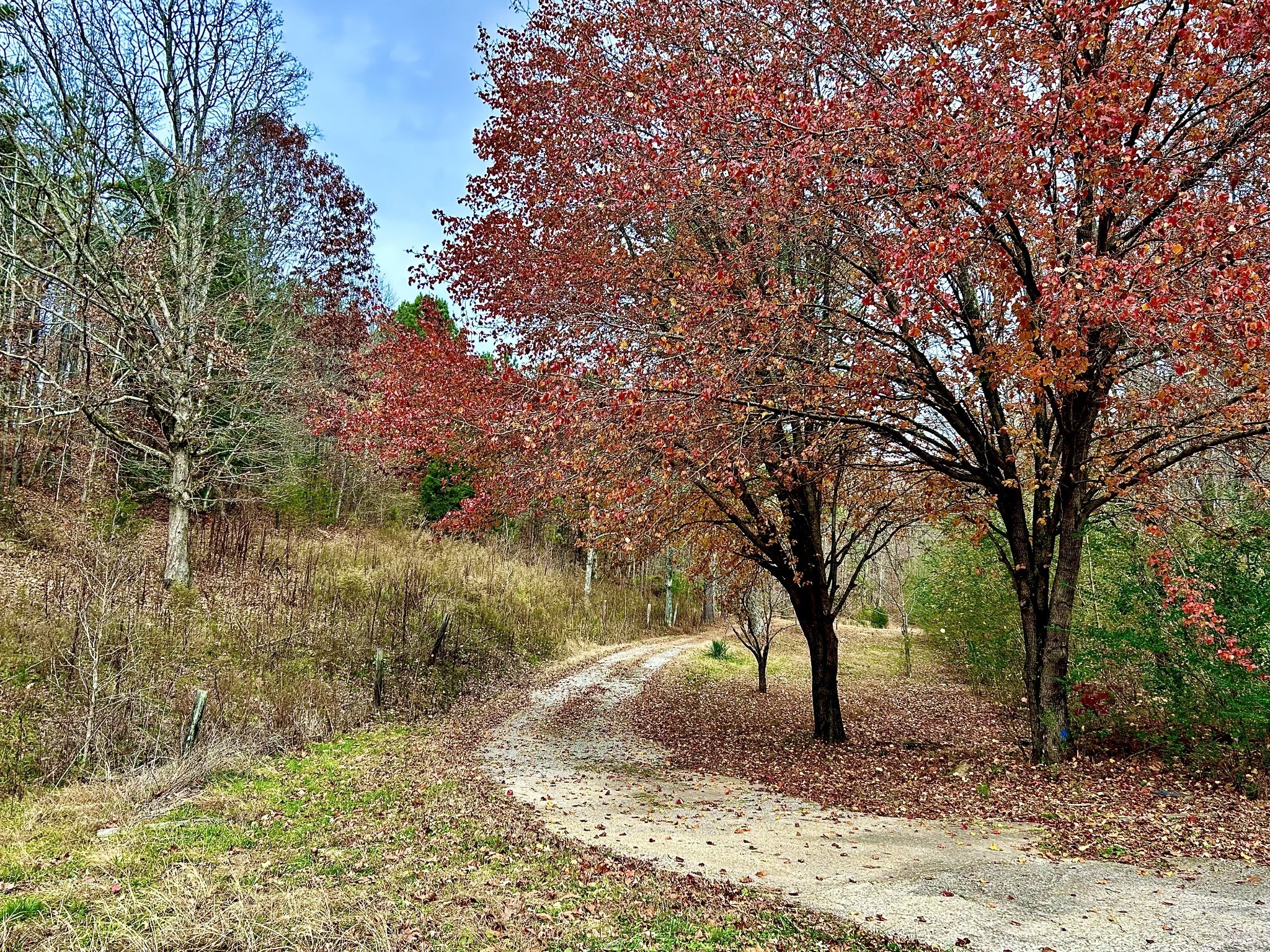 1135 West Mink Branch Road Waynesboro, TN 38485 - Photo 79 of 83