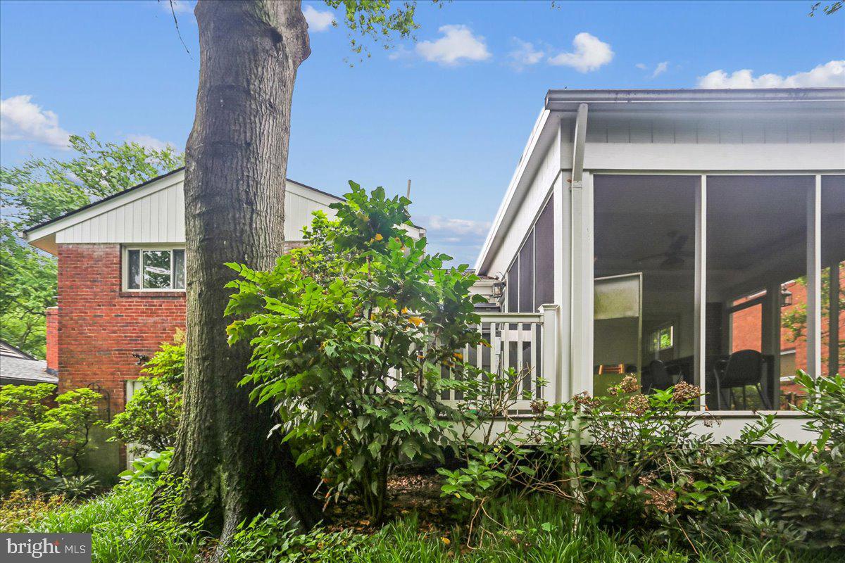 1703 Tilton Drive Silver Spring, MD 20902 - Photo 36 of 39 Charming home with lush greenery.