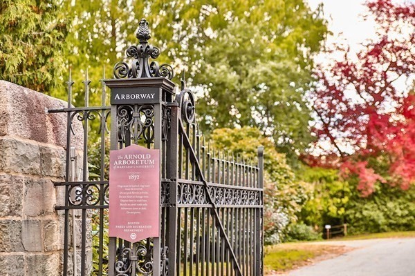 61 Brookley Road, Unit 1 Boston, MA 02130 - Photo 29 of 31 Gallery Image 29