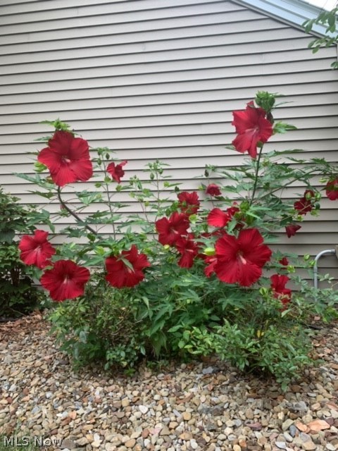 42 Overhill Road Youngstown, OH 44512 - Photo 21 of 26 Gallery Image 21