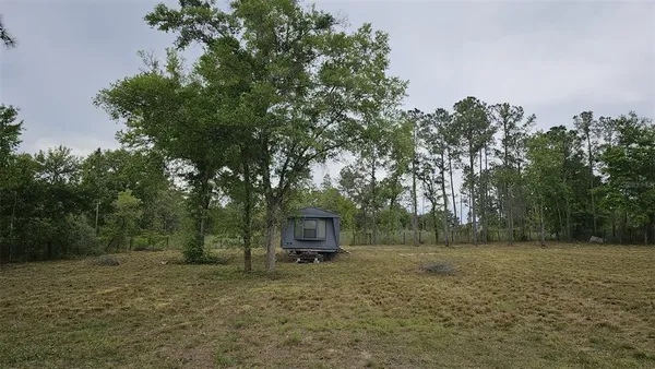 a backyard of a house with trees and entertaining space