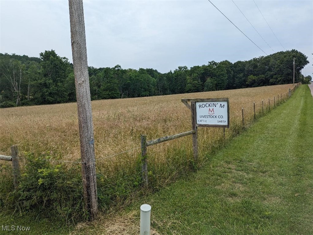 View From Road
