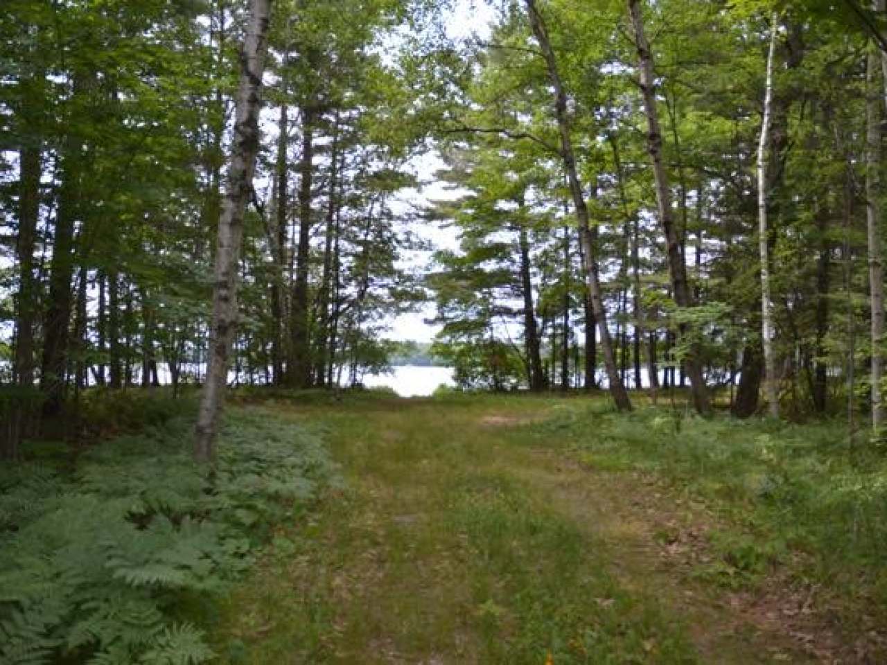 7642 Trout Road Lake Tomahawk, WI 54539 - Photo 6 of 23 Gallery Image 6