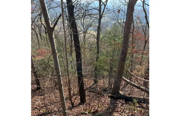 $35,000 | 56 C Indian Trail, Hayesville, NC 28904