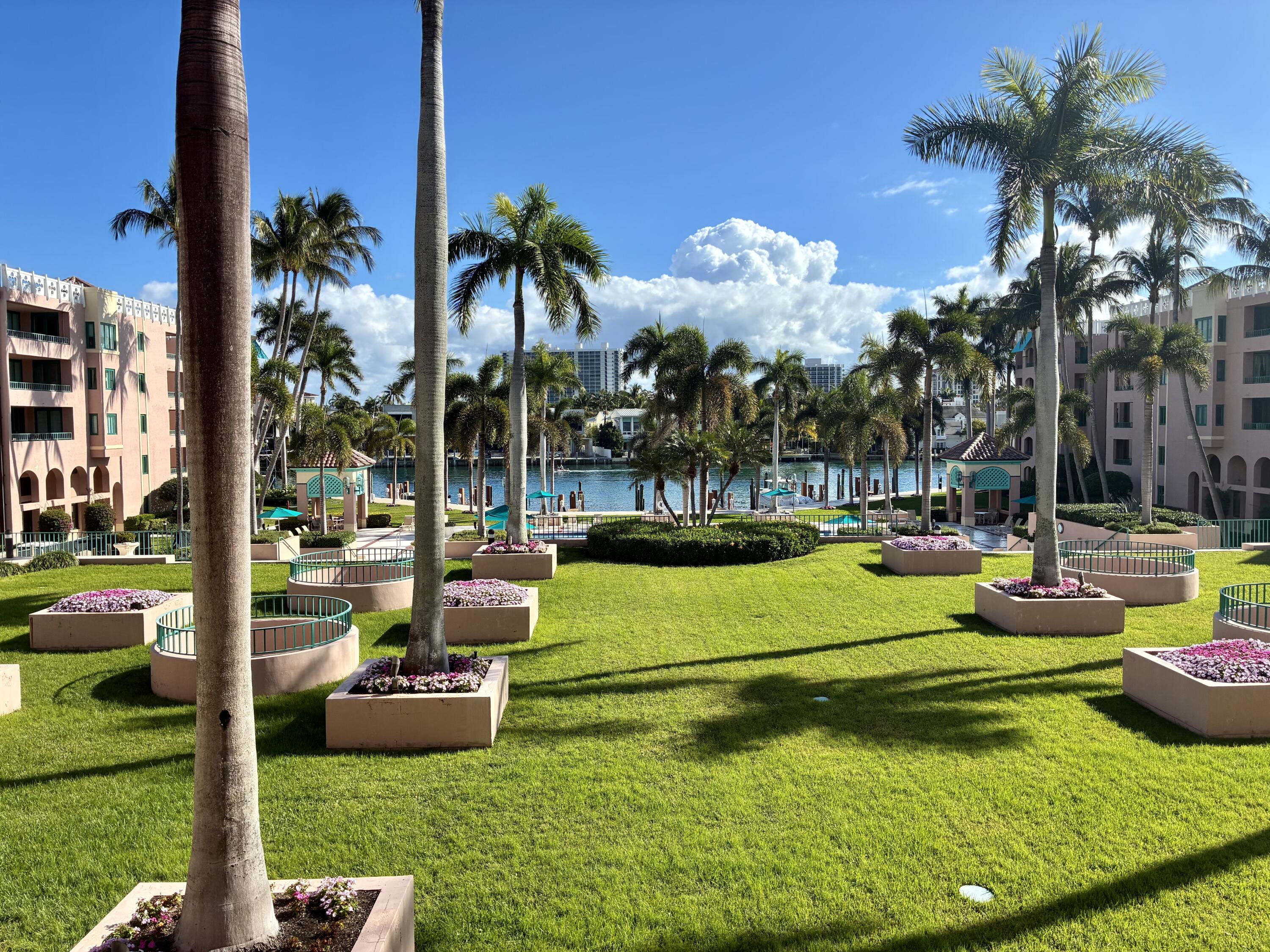 a view of a swimming pool with a patio and plants