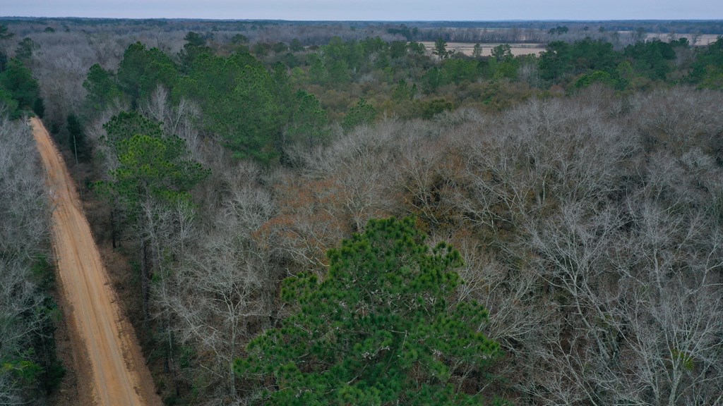 15.05 Pera Road Samson, AL 36477 - Photo 11 of 29