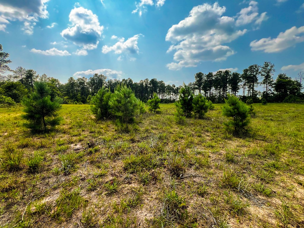 12-ac Liberty Road Mauk, GA 31058 - Photo 23 of 32 Gallery Image 23