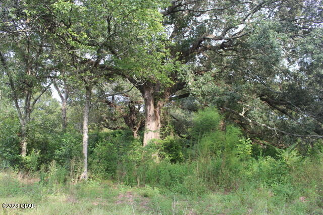 5506 Friendship Church Road Malone, FL 32445 - Photo 49 of 67