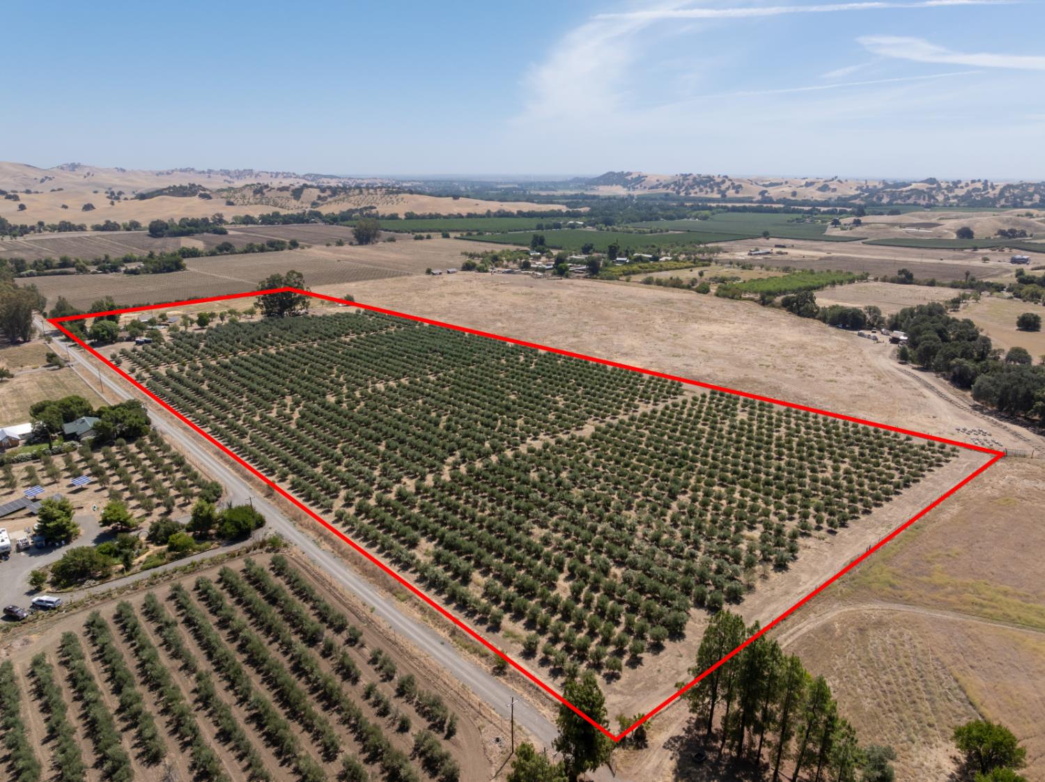 20115 County Road 79A Capay, CA 95607 - Photo 1 of 44 Good producing Olive Orchard
