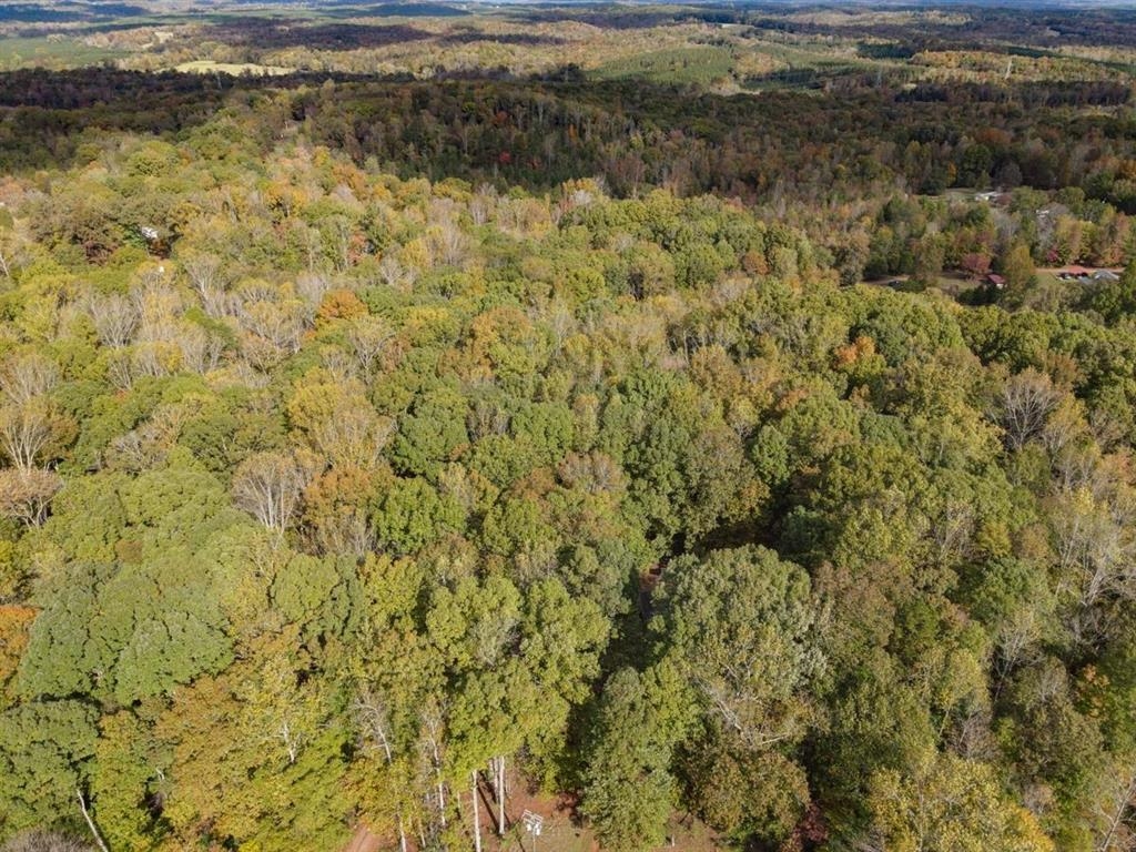 2917 Jerusalem Road Pacolet, SC 29372 - Photo 34 of 36