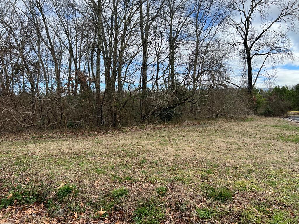 Lot 47 Stone Road, Unit 47 Cape Charles, VA 23310 - Photo 1 of 3