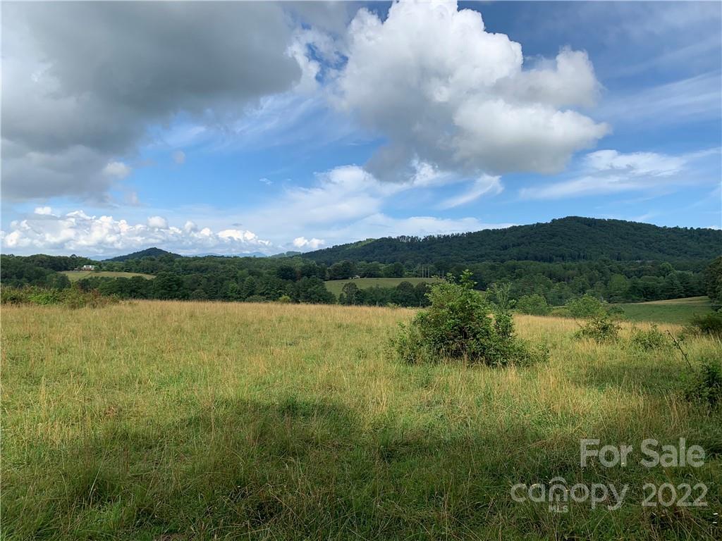207 Thistle Ridge, Unit 14 Fletcher, NC 28732 - Photo 10 of 13 a view of lake with green space