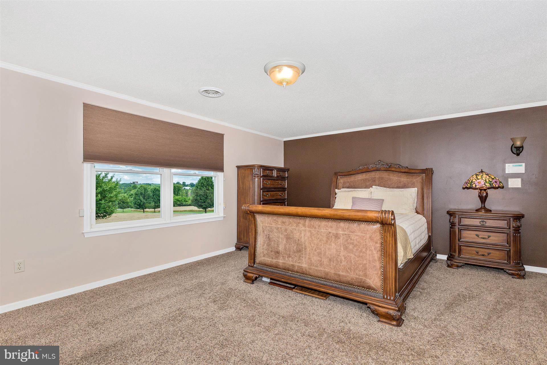 7957 Hollow Road Middletown, MD 21769 - Photo 13 of 30 Bedroom (Master)
