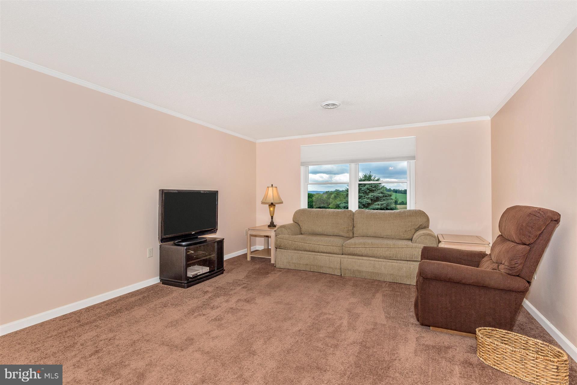 7957 Hollow Road Middletown, MD 21769 - Photo 20 of 30 Suite Family Room