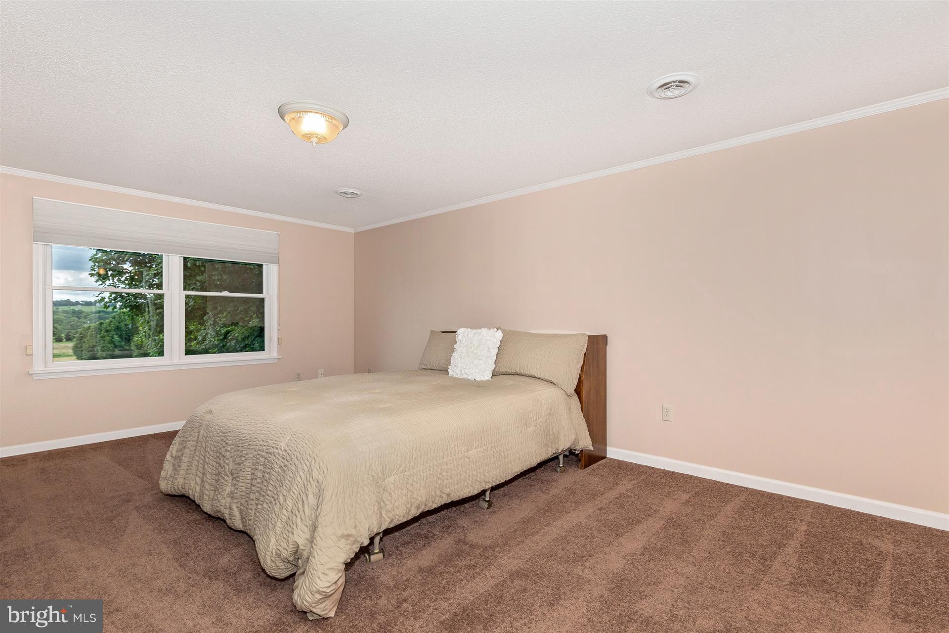 7957 Hollow Road Middletown, MD 21769 - Photo 21 of 30 Suite Bedroom