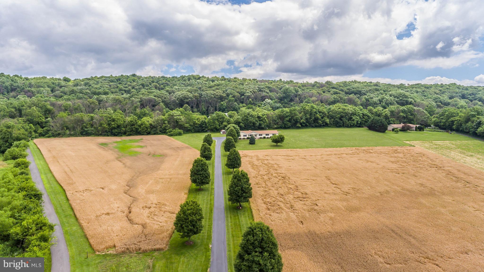 7957 Hollow Road Middletown, MD 21769 - Photo 28 of 30 Exterior (General)