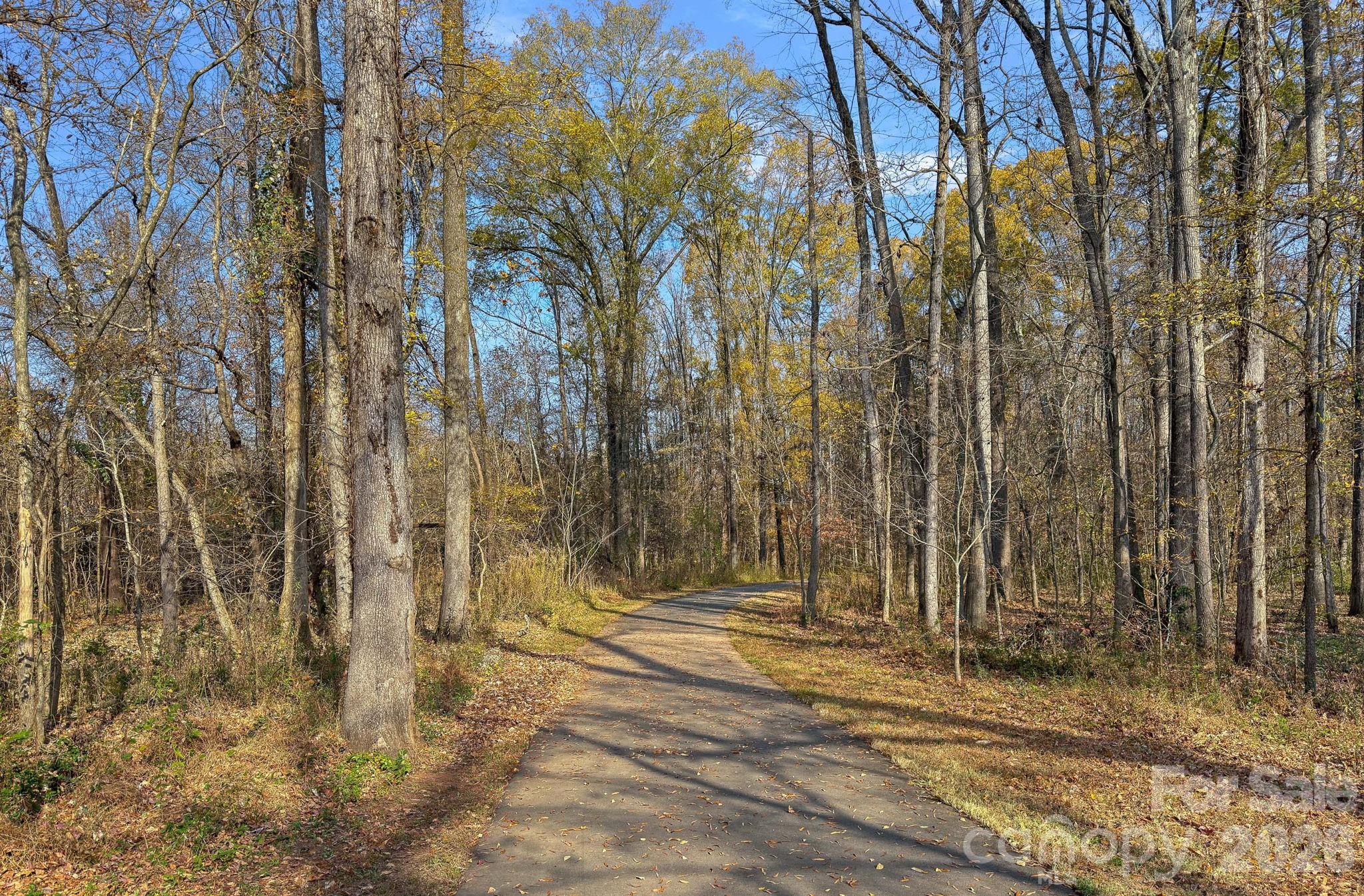 206 Meadowbrook Road Charlotte, NC 28211 - Photo 46 of 48