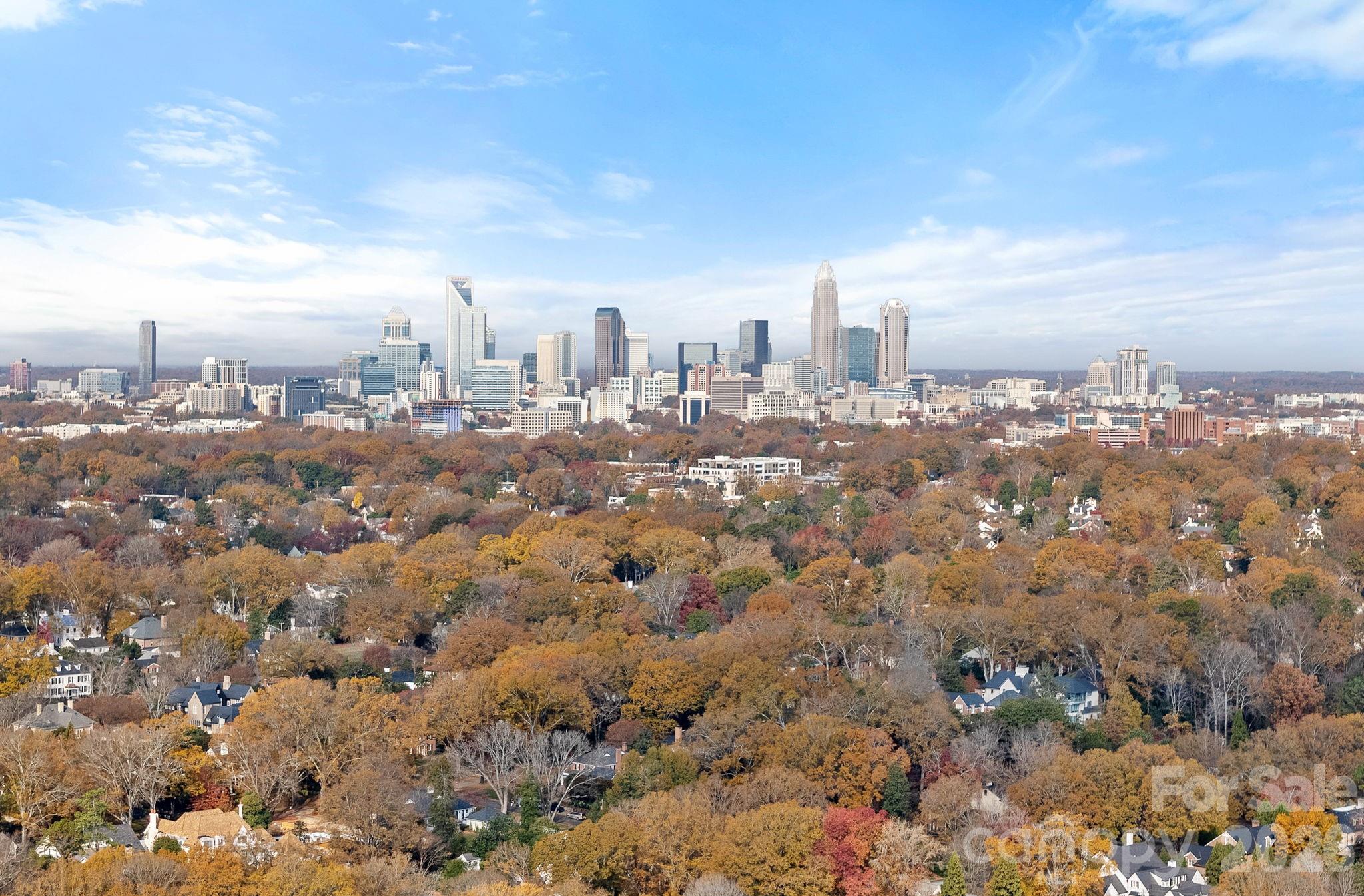 206 Meadowbrook Road Charlotte, NC 28211 - Photo 48 of 48