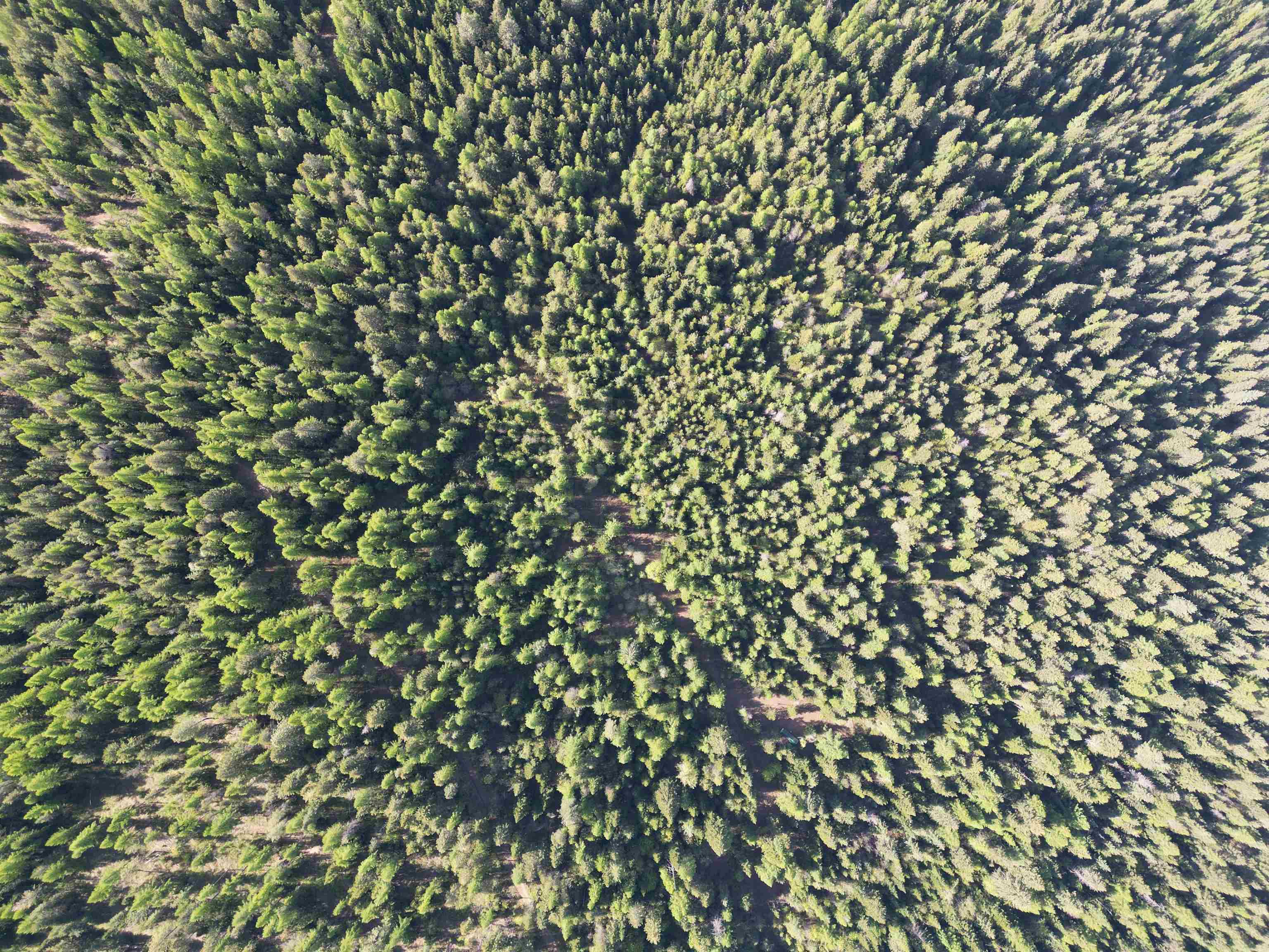 Nka Lookout Road Newport, WA 99156 - Photo 27 of 47