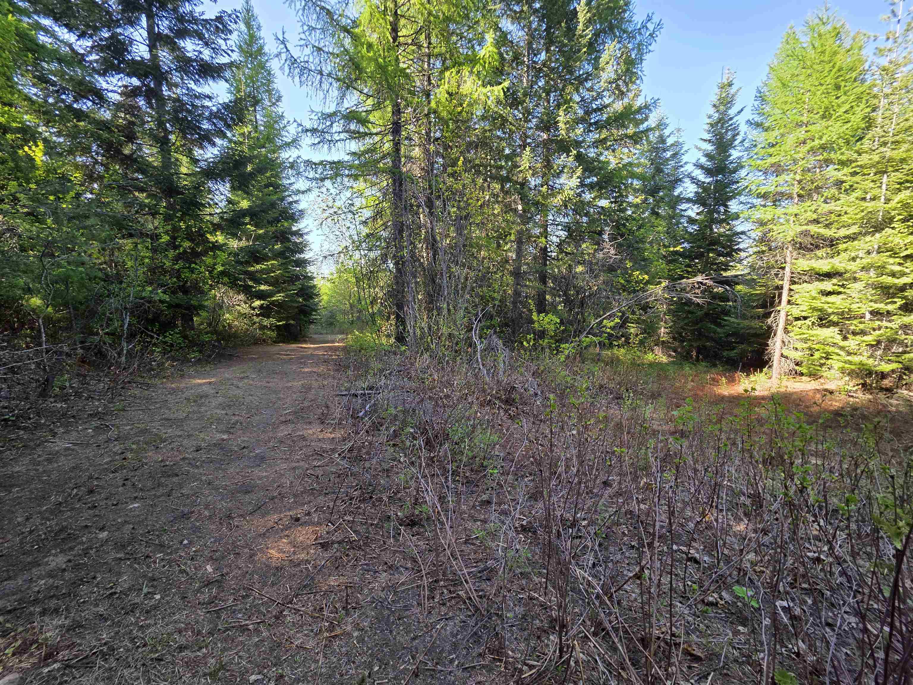 Nka Lookout Road Newport, WA 99156 - Photo 41 of 47