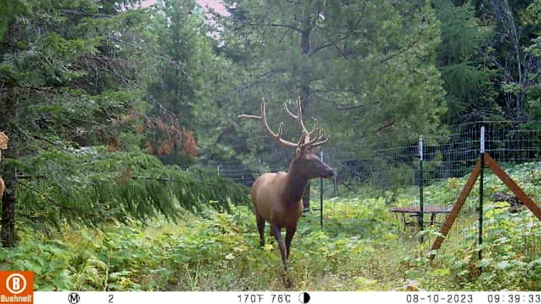 Nka Lookout Road Newport, WA 99156 - Photo 6 of 47