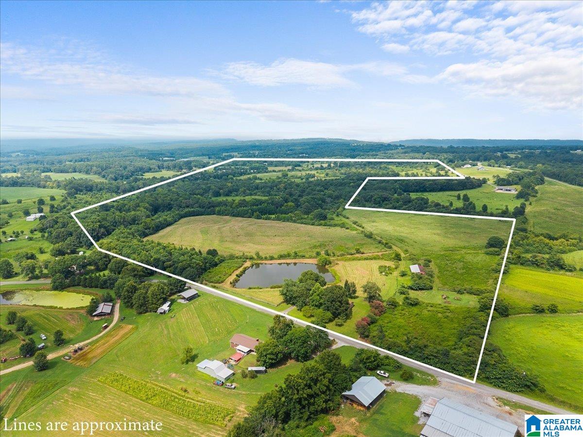 270 Reneau Road Oneonta, AL 35121 - Photo 1 of 38